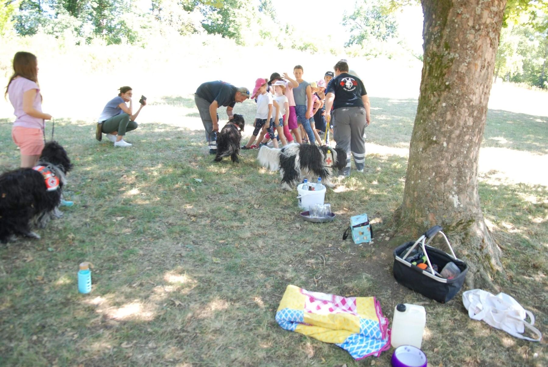 Kinder treffen auf Rettungshunde und deren Team bei einer Vorführung auf einer Wiese.